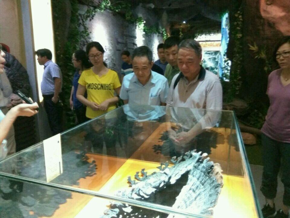 杭州亞運(yùn)會官方靈芝產(chǎn)品供應(yīng)商|杭州亞運(yùn)會官方供應(yīng)商|中國靈芝十大品牌|仙客來靈芝|仙客來靈芝破壁孢子粉|仙客來孢子油|仙客來靈芝飲片|仙客來破壁孢子粉|靈芝孢子油|孢子粉|靈芝破壁孢子粉|靈芝|中華老字號 杭州亞運(yùn)會官方靈芝產(chǎn)品供應(yīng)商|杭州亞運(yùn)會官方供應(yīng)商|中國靈芝十大品牌|仙客來靈芝|仙客來靈芝破壁孢子粉|仙客來孢子油|仙客來靈芝飲片|仙客來破壁孢子粉|靈芝孢子油|孢子粉|靈芝破壁孢子粉|靈芝|中華老字號