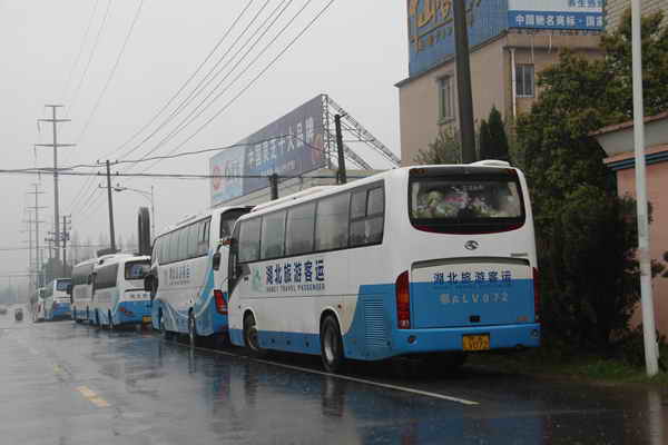 杭州亞運會官方靈芝產(chǎn)品供應(yīng)商|杭州亞運會官方供應(yīng)商|中國靈芝十大品牌|仙客來靈芝|仙客來靈芝破壁孢子粉|仙客來孢子油|仙客來靈芝飲片|仙客來破壁孢子粉|靈芝孢子油|孢子粉|靈芝破壁孢子粉|靈芝|中華老字號