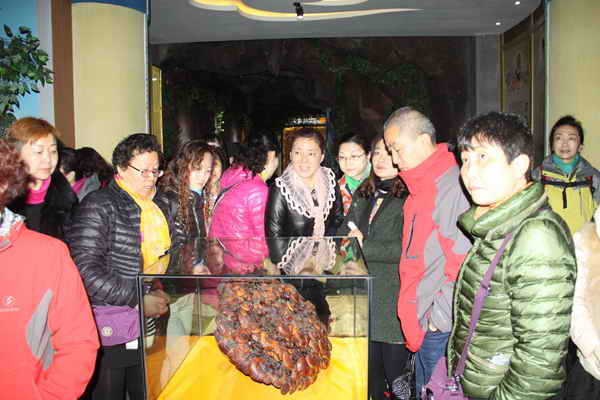 杭州亞運(yùn)會官方靈芝產(chǎn)品供應(yīng)商|杭州亞運(yùn)會官方供應(yīng)商|中國靈芝十大品牌|仙客來靈芝|仙客來靈芝破壁孢子粉|仙客來孢子油|仙客來靈芝飲片|仙客來破壁孢子粉|靈芝孢子油|孢子粉|靈芝破壁孢子粉|靈芝|中華老字號