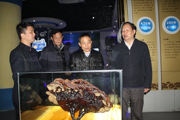 杭州亞運會官方靈芝產(chǎn)品供應(yīng)商|杭州亞運會官方供應(yīng)商|中國靈芝十大品牌|仙客來靈芝|仙客來靈芝破壁孢子粉|仙客來孢子油|仙客來靈芝飲片|仙客來破壁孢子粉|靈芝孢子油|孢子粉|靈芝破壁孢子粉|靈芝|中華老字號 杭州亞運會官方靈芝產(chǎn)品供應(yīng)商|杭州亞運會官方供應(yīng)商|中國靈芝十大品牌|仙客來靈芝|仙客來靈芝破壁孢子粉|仙客來孢子油|仙客來靈芝飲片|仙客來破壁孢子粉|靈芝孢子油|孢子粉|靈芝破壁孢子粉|靈芝|中華老字號