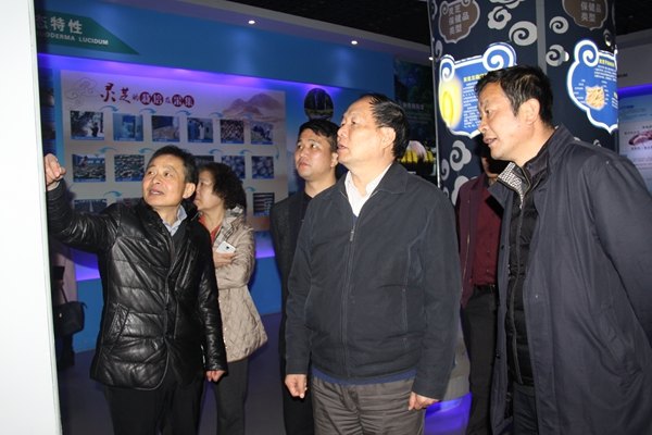 杭州亞運會官方靈芝產(chǎn)品供應(yīng)商|杭州亞運會官方供應(yīng)商|中國靈芝十大品牌|仙客來靈芝|仙客來靈芝破壁孢子粉|仙客來孢子油|仙客來靈芝飲片|仙客來破壁孢子粉|靈芝孢子油|孢子粉|靈芝破壁孢子粉|靈芝|中華老字號 杭州亞運會官方靈芝產(chǎn)品供應(yīng)商|杭州亞運會官方供應(yīng)商|中國靈芝十大品牌|仙客來靈芝|仙客來靈芝破壁孢子粉|仙客來孢子油|仙客來靈芝飲片|仙客來破壁孢子粉|靈芝孢子油|孢子粉|靈芝破壁孢子粉|靈芝|中華老字號