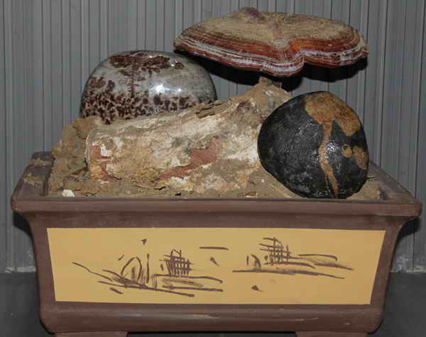 杭州亞運會官方靈芝產品供應商|杭州亞運會官方供應商|中國靈芝十大品牌|仙客來靈芝|仙客來靈芝破壁孢子粉|仙客來孢子油|仙客來靈芝飲片|仙客來破壁孢子粉|靈芝孢子油|孢子粉|靈芝破壁孢子粉|靈芝|中華老字號 杭州亞運會官方靈芝產品供應商|杭州亞運會官方供應商|中國靈芝十大品牌|仙客來靈芝|仙客來靈芝破壁孢子粉|仙客來孢子油|仙客來靈芝飲片|仙客來破壁孢子粉|靈芝孢子油|孢子粉|靈芝破壁孢子粉|靈芝|中華老字號