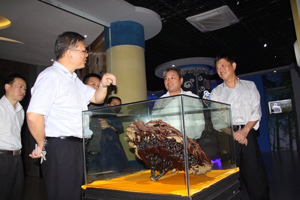 杭州亞運會官方靈芝產(chǎn)品供應(yīng)商|杭州亞運會官方供應(yīng)商|中國靈芝十大品牌|仙客來靈芝|仙客來靈芝破壁孢子粉|仙客來孢子油|仙客來靈芝飲片|仙客來破壁孢子粉|靈芝孢子油|孢子粉|靈芝破壁孢子粉|靈芝|中華老字號 杭州亞運會官方靈芝產(chǎn)品供應(yīng)商|杭州亞運會官方供應(yīng)商|中國靈芝十大品牌|仙客來靈芝|仙客來靈芝破壁孢子粉|仙客來孢子油|仙客來靈芝飲片|仙客來破壁孢子粉|靈芝孢子油|孢子粉|靈芝破壁孢子粉|靈芝|中華老字號