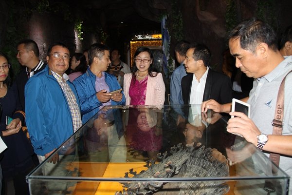 杭州亞運會官方靈芝產(chǎn)品供應商|杭州亞運會官方供應商|中國靈芝十大品牌|仙客來靈芝|仙客來靈芝破壁孢子粉|仙客來孢子油|仙客來靈芝飲片|仙客來破壁孢子粉|靈芝孢子油|孢子粉|靈芝破壁孢子粉|靈芝|中華老字號 杭州亞運會官方靈芝產(chǎn)品供應商|杭州亞運會官方供應商|中國靈芝十大品牌|仙客來靈芝|仙客來靈芝破壁孢子粉|仙客來孢子油|仙客來靈芝飲片|仙客來破壁孢子粉|靈芝孢子油|孢子粉|靈芝破壁孢子粉|靈芝|中華老字號