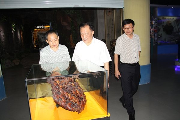 杭州亞運會官方靈芝產(chǎn)品供應(yīng)商|杭州亞運會官方供應(yīng)商|中國靈芝十大品牌|仙客來靈芝|仙客來靈芝破壁孢子粉|仙客來孢子油|仙客來靈芝飲片|仙客來破壁孢子粉|靈芝孢子油|孢子粉|靈芝破壁孢子粉|靈芝|中華老字號 杭州亞運會官方靈芝產(chǎn)品供應(yīng)商|杭州亞運會官方供應(yīng)商|中國靈芝十大品牌|仙客來靈芝|仙客來靈芝破壁孢子粉|仙客來孢子油|仙客來靈芝飲片|仙客來破壁孢子粉|靈芝孢子油|孢子粉|靈芝破壁孢子粉|靈芝|中華老字號