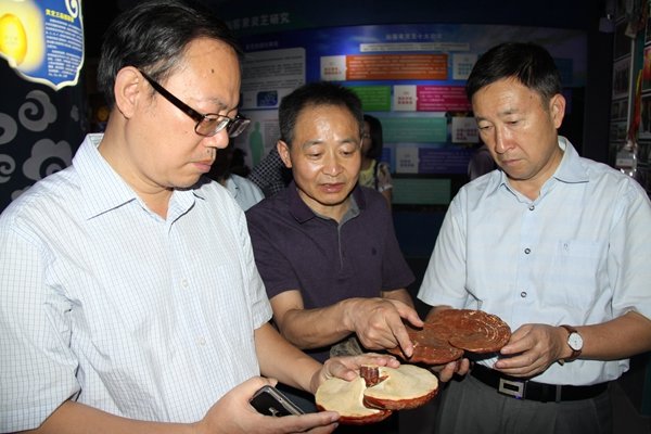 杭州亞運(yùn)會官方靈芝產(chǎn)品供應(yīng)商|杭州亞運(yùn)會官方供應(yīng)商|中國靈芝十大品牌|仙客來靈芝|仙客來靈芝破壁孢子粉|仙客來孢子油|仙客來靈芝飲片|仙客來破壁孢子粉|靈芝孢子油|孢子粉|靈芝破壁孢子粉|靈芝|中華老字號 杭州亞運(yùn)會官方靈芝產(chǎn)品供應(yīng)商|杭州亞運(yùn)會官方供應(yīng)商|中國靈芝十大品牌|仙客來靈芝|仙客來靈芝破壁孢子粉|仙客來孢子油|仙客來靈芝飲片|仙客來破壁孢子粉|靈芝孢子油|孢子粉|靈芝破壁孢子粉|靈芝|中華老字號