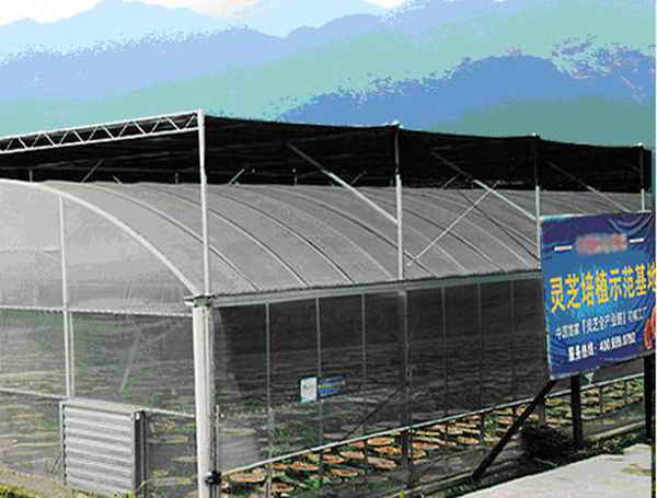 杭州亞運(yùn)會(huì)官方靈芝產(chǎn)品供應(yīng)商|杭州亞運(yùn)會(huì)官方供應(yīng)商|中國(guó)靈芝十大品牌|仙客來(lái)靈芝|仙客來(lái)靈芝破壁孢子粉|仙客來(lái)孢子油|仙客來(lái)靈芝飲片|仙客來(lái)破壁孢子粉|靈芝孢子油|孢子粉|靈芝破壁孢子粉|靈芝|中華老字號(hào) 杭州亞運(yùn)會(huì)官方靈芝產(chǎn)品供應(yīng)商|杭州亞運(yùn)會(huì)官方供應(yīng)商|中國(guó)靈芝十大品牌|仙客來(lái)靈芝|仙客來(lái)靈芝破壁孢子粉|仙客來(lái)孢子油|仙客來(lái)靈芝飲片|仙客來(lái)破壁孢子粉|靈芝孢子油|孢子粉|靈芝破壁孢子粉|靈芝|中華老字號(hào)