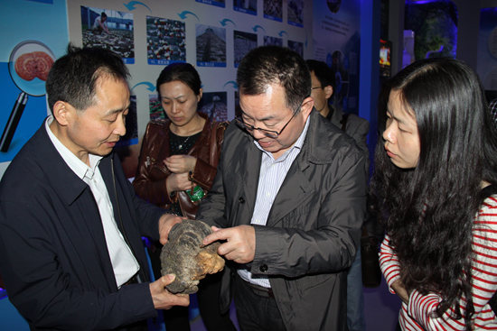 杭州亞運會官方靈芝產(chǎn)品供應商|杭州亞運會官方供應商|中國靈芝十大品牌|仙客來靈芝|仙客來靈芝破壁孢子粉|仙客來孢子油|仙客來靈芝飲片|仙客來破壁孢子粉|靈芝孢子油|孢子粉|靈芝破壁孢子粉|靈芝|中華老字號