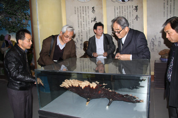 杭州亞運會官方靈芝產品供應商|杭州亞運會官方供應商|中國靈芝十大品牌|仙客來靈芝|仙客來靈芝破壁孢子粉|仙客來孢子油|仙客來靈芝飲片|仙客來破壁孢子粉|靈芝孢子油|孢子粉|靈芝破壁孢子粉|靈芝|中華老字號 杭州亞運會官方靈芝產品供應商|杭州亞運會官方供應商|中國靈芝十大品牌|仙客來靈芝|仙客來靈芝破壁孢子粉|仙客來孢子油|仙客來靈芝飲片|仙客來破壁孢子粉|靈芝孢子油|孢子粉|靈芝破壁孢子粉|靈芝|中華老字號