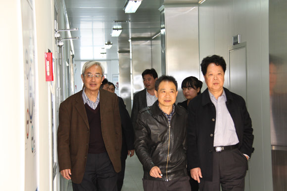 杭州亞運會官方靈芝產品供應商|杭州亞運會官方供應商|中國靈芝十大品牌|仙客來靈芝|仙客來靈芝破壁孢子粉|仙客來孢子油|仙客來靈芝飲片|仙客來破壁孢子粉|靈芝孢子油|孢子粉|靈芝破壁孢子粉|靈芝|中華老字號 杭州亞運會官方靈芝產品供應商|杭州亞運會官方供應商|中國靈芝十大品牌|仙客來靈芝|仙客來靈芝破壁孢子粉|仙客來孢子油|仙客來靈芝飲片|仙客來破壁孢子粉|靈芝孢子油|孢子粉|靈芝破壁孢子粉|靈芝|中華老字號