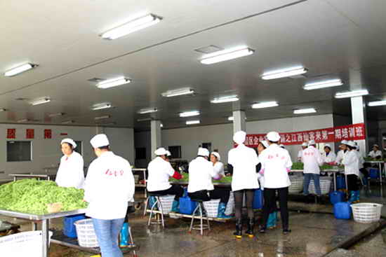 杭州亞運(yùn)會(huì)官方靈芝產(chǎn)品供應(yīng)商|杭州亞運(yùn)會(huì)官方供應(yīng)商|中國(guó)靈芝十大品牌|仙客來靈芝|仙客來靈芝破壁孢子粉|仙客來孢子油|仙客來靈芝飲片|仙客來破壁孢子粉|靈芝孢子油|孢子粉|靈芝破壁孢子粉|靈芝|中華老字號(hào)