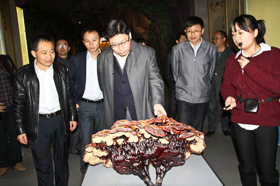 杭州亞運會官方靈芝產品供應商|杭州亞運會官方供應商|中國靈芝十大品牌|仙客來靈芝|仙客來靈芝破壁孢子粉|仙客來孢子油|仙客來靈芝飲片|仙客來破壁孢子粉|靈芝孢子油|孢子粉|靈芝破壁孢子粉|靈芝|中華老字號