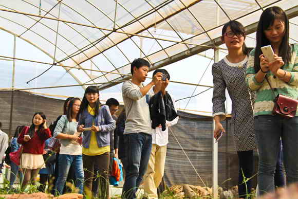 杭州亞運(yùn)會(huì)官方靈芝產(chǎn)品供應(yīng)商|杭州亞運(yùn)會(huì)官方供應(yīng)商|中國靈芝十大品牌|仙客來靈芝|仙客來靈芝破壁孢子粉|仙客來孢子油|仙客來靈芝飲片|仙客來破壁孢子粉|靈芝孢子油|孢子粉|靈芝破壁孢子粉|靈芝|中華老字號(hào) 杭州亞運(yùn)會(huì)官方靈芝產(chǎn)品供應(yīng)商|杭州亞運(yùn)會(huì)官方供應(yīng)商|中國靈芝十大品牌|仙客來靈芝|仙客來靈芝破壁孢子粉|仙客來孢子油|仙客來靈芝飲片|仙客來破壁孢子粉|靈芝孢子油|孢子粉|靈芝破壁孢子粉|靈芝|中華老字號(hào)