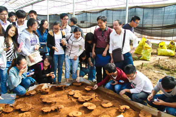 杭州亞運(yùn)會(huì)官方靈芝產(chǎn)品供應(yīng)商|杭州亞運(yùn)會(huì)官方供應(yīng)商|中國靈芝十大品牌|仙客來靈芝|仙客來靈芝破壁孢子粉|仙客來孢子油|仙客來靈芝飲片|仙客來破壁孢子粉|靈芝孢子油|孢子粉|靈芝破壁孢子粉|靈芝|中華老字號(hào) 杭州亞運(yùn)會(huì)官方靈芝產(chǎn)品供應(yīng)商|杭州亞運(yùn)會(huì)官方供應(yīng)商|中國靈芝十大品牌|仙客來靈芝|仙客來靈芝破壁孢子粉|仙客來孢子油|仙客來靈芝飲片|仙客來破壁孢子粉|靈芝孢子油|孢子粉|靈芝破壁孢子粉|靈芝|中華老字號(hào)