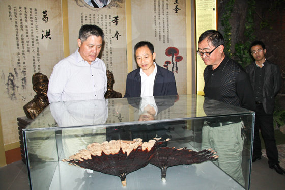 杭州亞運會官方靈芝產(chǎn)品供應商|杭州亞運會官方供應商|中國靈芝十大品牌|仙客來靈芝|仙客來靈芝破壁孢子粉|仙客來孢子油|仙客來靈芝飲片|仙客來破壁孢子粉|靈芝孢子油|孢子粉|靈芝破壁孢子粉|靈芝|中華老字號 杭州亞運會官方靈芝產(chǎn)品供應商|杭州亞運會官方供應商|中國靈芝十大品牌|仙客來靈芝|仙客來靈芝破壁孢子粉|仙客來孢子油|仙客來靈芝飲片|仙客來破壁孢子粉|靈芝孢子油|孢子粉|靈芝破壁孢子粉|靈芝|中華老字號