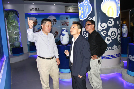 杭州亞運會官方靈芝產(chǎn)品供應商|杭州亞運會官方供應商|中國靈芝十大品牌|仙客來靈芝|仙客來靈芝破壁孢子粉|仙客來孢子油|仙客來靈芝飲片|仙客來破壁孢子粉|靈芝孢子油|孢子粉|靈芝破壁孢子粉|靈芝|中華老字號 杭州亞運會官方靈芝產(chǎn)品供應商|杭州亞運會官方供應商|中國靈芝十大品牌|仙客來靈芝|仙客來靈芝破壁孢子粉|仙客來孢子油|仙客來靈芝飲片|仙客來破壁孢子粉|靈芝孢子油|孢子粉|靈芝破壁孢子粉|靈芝|中華老字號