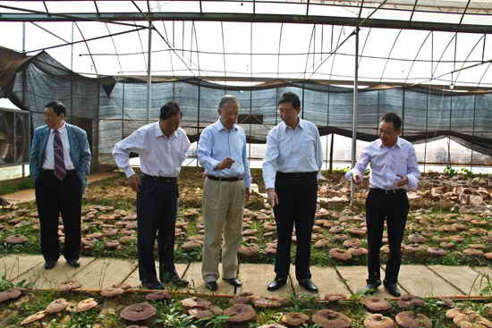 杭州亞運會官方靈芝產(chǎn)品供應商|杭州亞運會官方供應商|中國靈芝十大品牌|仙客來靈芝|仙客來靈芝破壁孢子粉|仙客來孢子油|仙客來靈芝飲片|仙客來破壁孢子粉|靈芝孢子油|孢子粉|靈芝破壁孢子粉|靈芝|中華老字號