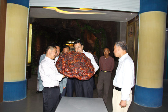 杭州亞運會官方靈芝產(chǎn)品供應商|杭州亞運會官方供應商|中國靈芝十大品牌|仙客來靈芝|仙客來靈芝破壁孢子粉|仙客來孢子油|仙客來靈芝飲片|仙客來破壁孢子粉|靈芝孢子油|孢子粉|靈芝破壁孢子粉|靈芝|中華老字號