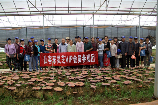 杭州亞運會官方靈芝產(chǎn)品供應商|杭州亞運會官方供應商|中國靈芝十大品牌|仙客來靈芝|仙客來靈芝破壁孢子粉|仙客來孢子油|仙客來靈芝飲片|仙客來破壁孢子粉|靈芝孢子油|孢子粉|靈芝破壁孢子粉|靈芝|中華老字號 杭州亞運會官方靈芝產(chǎn)品供應商|杭州亞運會官方供應商|中國靈芝十大品牌|仙客來靈芝|仙客來靈芝破壁孢子粉|仙客來孢子油|仙客來靈芝飲片|仙客來破壁孢子粉|靈芝孢子油|孢子粉|靈芝破壁孢子粉|靈芝|中華老字號