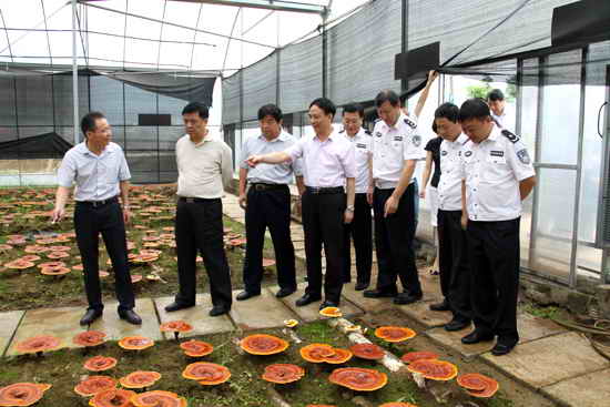 杭州亞運(yùn)會(huì)官方靈芝產(chǎn)品供應(yīng)商|杭州亞運(yùn)會(huì)官方供應(yīng)商|中國靈芝十大品牌|仙客來靈芝|仙客來靈芝破壁孢子粉|仙客來孢子油|仙客來靈芝飲片|仙客來破壁孢子粉|靈芝孢子油|孢子粉|靈芝破壁孢子粉|靈芝|中華老字號(hào)