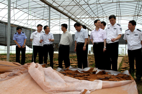 杭州亞運(yùn)會(huì)官方靈芝產(chǎn)品供應(yīng)商|杭州亞運(yùn)會(huì)官方供應(yīng)商|中國靈芝十大品牌|仙客來靈芝|仙客來靈芝破壁孢子粉|仙客來孢子油|仙客來靈芝飲片|仙客來破壁孢子粉|靈芝孢子油|孢子粉|靈芝破壁孢子粉|靈芝|中華老字號(hào)