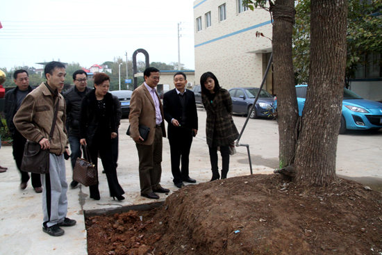 杭州亞運會官方靈芝產品供應商|杭州亞運會官方供應商|中國靈芝十大品牌|仙客來靈芝|仙客來靈芝破壁孢子粉|仙客來孢子油|仙客來靈芝飲片|仙客來破壁孢子粉|靈芝孢子油|孢子粉|靈芝破壁孢子粉|靈芝|中華老字號 杭州亞運會官方靈芝產品供應商|杭州亞運會官方供應商|中國靈芝十大品牌|仙客來靈芝|仙客來靈芝破壁孢子粉|仙客來孢子油|仙客來靈芝飲片|仙客來破壁孢子粉|靈芝孢子油|孢子粉|靈芝破壁孢子粉|靈芝|中華老字號