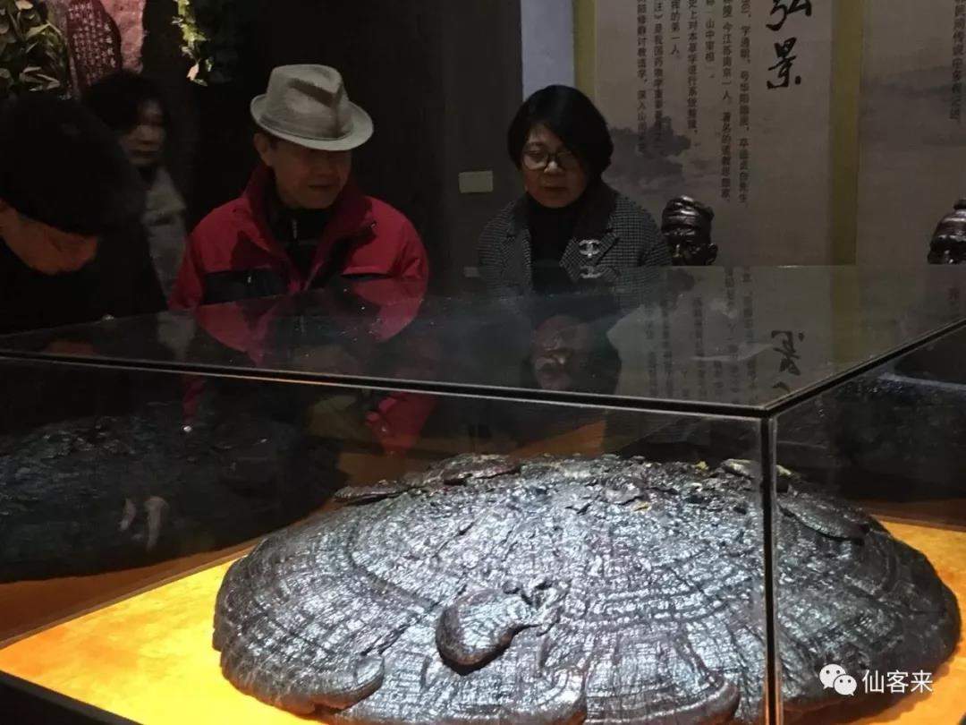 中國(guó)靈芝十大品牌|仙客來(lái)靈芝|仙客來(lái)靈芝破壁孢子粉|仙客來(lái)孢子油|仙客來(lái)靈芝飲片|仙客來(lái)破壁孢子粉|仙客來(lái)靈芝中藥飲片|馳名商標(biāo)|m.aimlin.com| 中國(guó)靈芝十大品牌|仙客來(lái)靈芝|仙客來(lái)靈芝破壁孢子粉|仙客來(lái)孢子油|仙客來(lái)靈芝飲片|仙客來(lái)破壁孢子粉|仙客來(lái)靈芝中藥飲片|馳名商標(biāo)|m.aimlin.com|