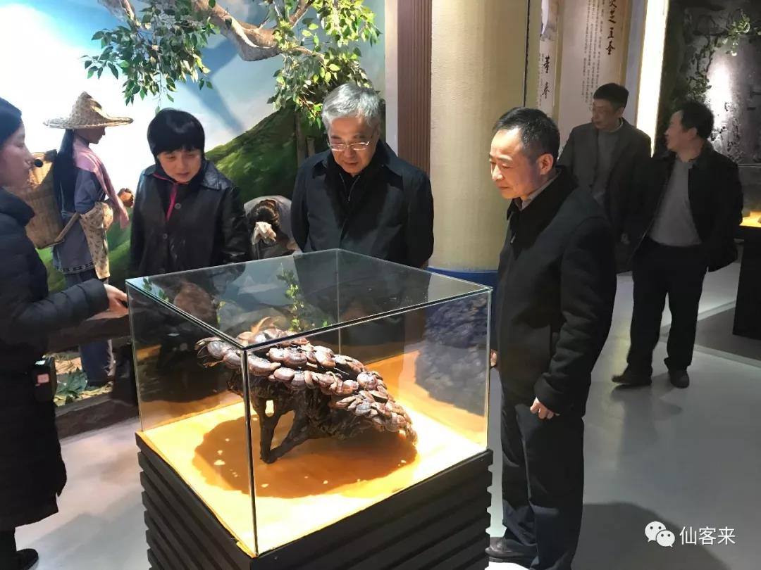 中國(guó)靈芝十大品牌|仙客來(lái)靈芝|仙客來(lái)靈芝破壁孢子粉|仙客來(lái)孢子油|仙客來(lái)靈芝飲片|仙客來(lái)破壁孢子粉|仙客來(lái)靈芝中藥飲片|馳名商標(biāo)|m.aimlin.com|