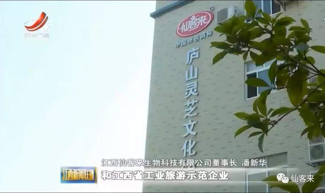 中國(guó)靈芝十大品牌|仙客來(lái)靈芝|仙客來(lái)靈芝破壁孢子粉|仙客來(lái)孢子油|仙客來(lái)靈芝飲片|仙客來(lái)破壁孢子粉|仙客來(lái)靈芝中藥飲片|馳名商標(biāo)|m.aimlin.com| 中國(guó)靈芝十大品牌|仙客來(lái)靈芝|仙客來(lái)靈芝破壁孢子粉|仙客來(lái)孢子油|仙客來(lái)靈芝飲片|仙客來(lái)破壁孢子粉|仙客來(lái)靈芝中藥飲片|馳名商標(biāo)|m.aimlin.com|