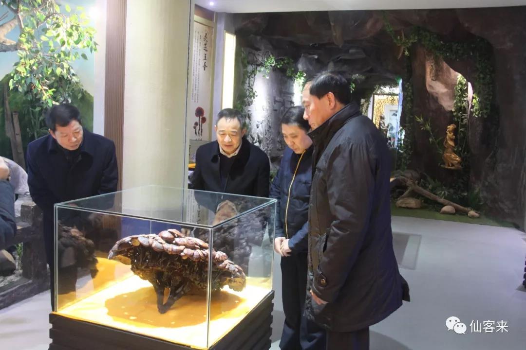 中國靈芝十大品牌|仙客來靈芝|仙客來靈芝破壁孢子粉|仙客來孢子油|仙客來靈芝飲片|仙客來破壁孢子粉|仙客來靈芝中藥飲片|馳名商標|m.aimlin.com| 中國靈芝十大品牌|仙客來靈芝|仙客來靈芝破壁孢子粉|仙客來孢子油|仙客來靈芝飲片|仙客來破壁孢子粉|仙客來靈芝中藥飲片|馳名商標|m.aimlin.com|