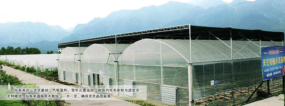 中國靈芝十大品牌|仙客來靈芝|仙客來靈芝破壁孢子粉|仙客來孢子油|仙客來靈芝飲片|仙客來破壁孢子粉|仙客來靈芝中藥飲片|馳名商標(biāo)|m.aimlin.com| 中國靈芝十大品牌|仙客來靈芝|仙客來靈芝破壁孢子粉|仙客來孢子油|仙客來靈芝飲片|仙客來破壁孢子粉|仙客來靈芝中藥飲片|馳名商標(biāo)|m.aimlin.com|