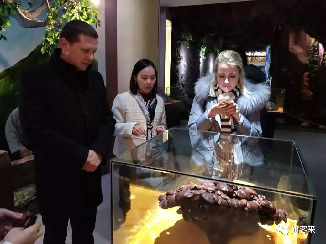 中國靈芝十大品牌|仙客來靈芝|仙客來靈芝破壁孢子粉|仙客來孢子油|仙客來靈芝飲片|仙客來破壁孢子粉|仙客來靈芝中藥飲片|馳名商標(biāo)|m.aimlin.com| 中國靈芝十大品牌|仙客來靈芝|仙客來靈芝破壁孢子粉|仙客來孢子油|仙客來靈芝飲片|仙客來破壁孢子粉|仙客來靈芝中藥飲片|馳名商標(biāo)|m.aimlin.com|