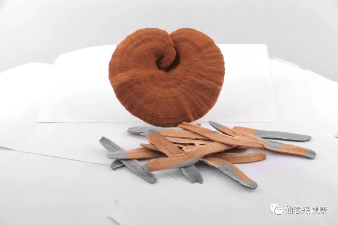 中國靈芝十大品牌|仙客來靈芝|仙客來靈芝破壁孢子粉|仙客來孢子油|仙客來靈芝飲片|仙客來破壁孢子粉|仙客來靈芝中藥飲片|馳名商標|m.aimlin.com| 中國靈芝十大品牌|仙客來靈芝|仙客來靈芝破壁孢子粉|仙客來孢子油|仙客來靈芝飲片|仙客來破壁孢子粉|仙客來靈芝中藥飲片|馳名商標|m.aimlin.com|