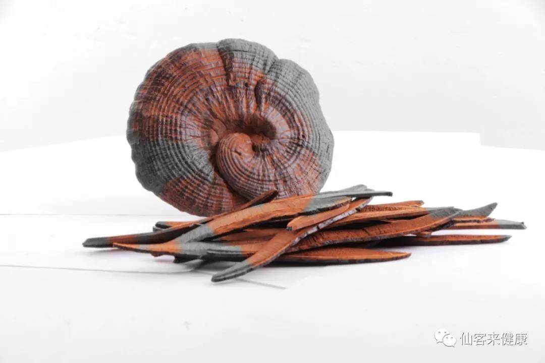 中國靈芝十大品牌|仙客來靈芝|仙客來靈芝破壁孢子粉|仙客來孢子油|仙客來靈芝飲片|仙客來破壁孢子粉|仙客來靈芝中藥飲片|馳名商標|m.aimlin.com| 中國靈芝十大品牌|仙客來靈芝|仙客來靈芝破壁孢子粉|仙客來孢子油|仙客來靈芝飲片|仙客來破壁孢子粉|仙客來靈芝中藥飲片|馳名商標|m.aimlin.com|