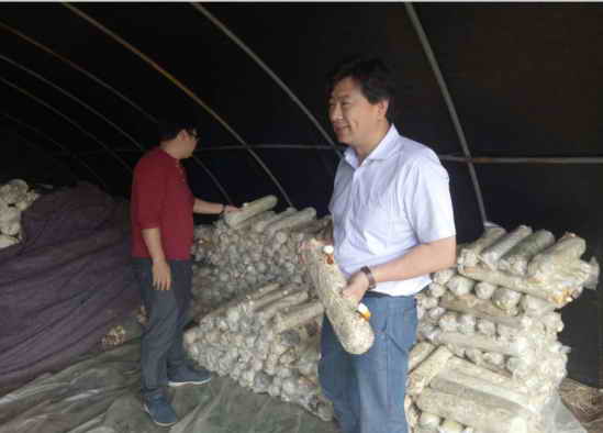 1556331994742135.png 1556331994742135.png