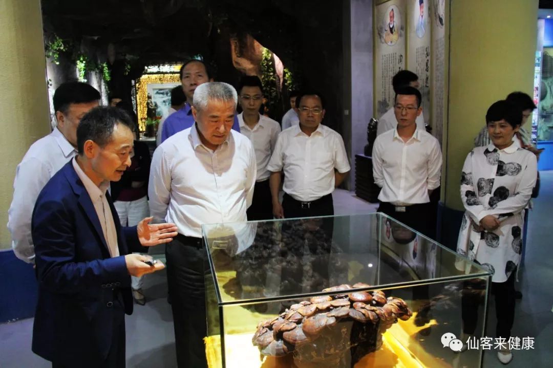 杭州亞運會官方靈芝產(chǎn)品供應商|杭州亞運會官方供應商|中國靈芝十大品牌|仙客來靈芝|仙客來靈芝破壁孢子粉|仙客來孢子油|仙客來靈芝飲片|仙客來破壁孢子粉|靈芝孢子油|孢子粉|靈芝破壁孢子粉|靈芝|中華老字號