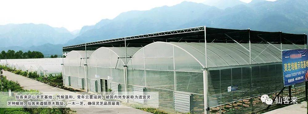 杭州亞運(yùn)會(huì)官方靈芝產(chǎn)品供應(yīng)商|杭州亞運(yùn)會(huì)官方供應(yīng)商|中國(guó)靈芝十大品牌|仙客來(lái)靈芝|仙客來(lái)靈芝破壁孢子粉|仙客來(lái)孢子油|仙客來(lái)靈芝飲片|仙客來(lái)破壁孢子粉|靈芝孢子油|孢子粉|靈芝破壁孢子粉|靈芝|中華老字號(hào) 杭州亞運(yùn)會(huì)官方靈芝產(chǎn)品供應(yīng)商|杭州亞運(yùn)會(huì)官方供應(yīng)商|中國(guó)靈芝十大品牌|仙客來(lái)靈芝|仙客來(lái)靈芝破壁孢子粉|仙客來(lái)孢子油|仙客來(lái)靈芝飲片|仙客來(lái)破壁孢子粉|靈芝孢子油|孢子粉|靈芝破壁孢子粉|靈芝|中華老字號(hào)