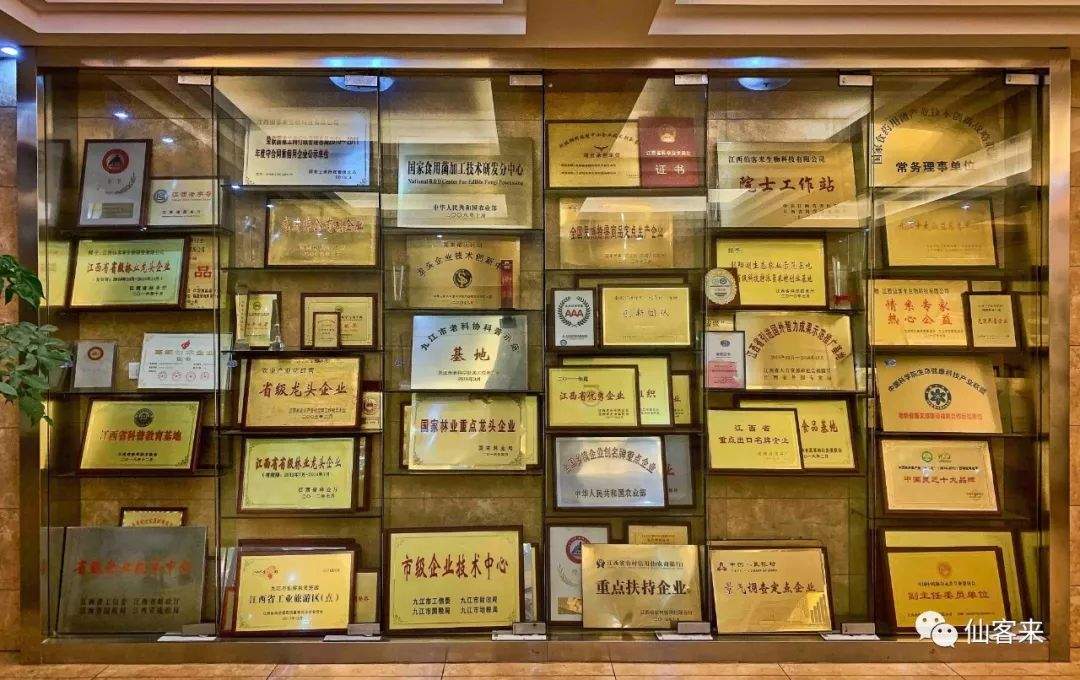 杭州亞運會官方靈芝產(chǎn)品供應商|杭州亞運會官方供應商|中國靈芝十大品牌|仙客來靈芝|仙客來靈芝破壁孢子粉|仙客來孢子油|仙客來靈芝飲片|仙客來破壁孢子粉|靈芝孢子油|孢子粉|靈芝破壁孢子粉|靈芝|中華老字號 杭州亞運會官方靈芝產(chǎn)品供應商|杭州亞運會官方供應商|中國靈芝十大品牌|仙客來靈芝|仙客來靈芝破壁孢子粉|仙客來孢子油|仙客來靈芝飲片|仙客來破壁孢子粉|靈芝孢子油|孢子粉|靈芝破壁孢子粉|靈芝|中華老字號