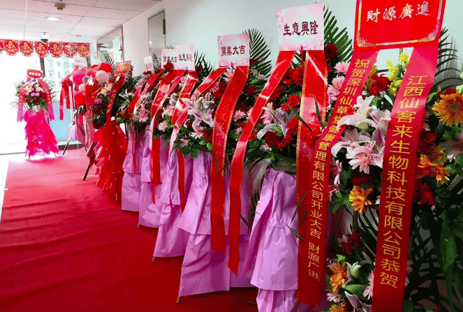 中國靈芝十大品牌|仙客來靈芝|仙客來靈芝破壁孢子粉|仙客來孢子油|仙客來靈芝飲片|仙客來破壁孢子粉|仙客來靈芝中藥飲片|馳名商標|m.aimlin.com| 中國靈芝十大品牌|仙客來靈芝|仙客來靈芝破壁孢子粉|仙客來孢子油|仙客來靈芝飲片|仙客來破壁孢子粉|仙客來靈芝中藥飲片|馳名商標|m.aimlin.com|