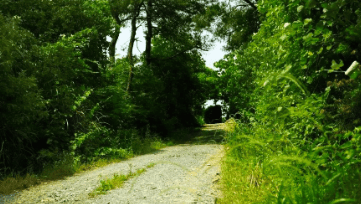 中國靈芝十大品牌|仙客來靈芝|仙客來靈芝破壁孢子粉|仙客來孢子油|仙客來靈芝飲片|仙客來破壁孢子粉|仙客來靈芝中藥飲片|馳名商標(biāo)|m.aimlin.com| 中國靈芝十大品牌|仙客來靈芝|仙客來靈芝破壁孢子粉|仙客來孢子油|仙客來靈芝飲片|仙客來破壁孢子粉|仙客來靈芝中藥飲片|馳名商標(biāo)|m.aimlin.com|