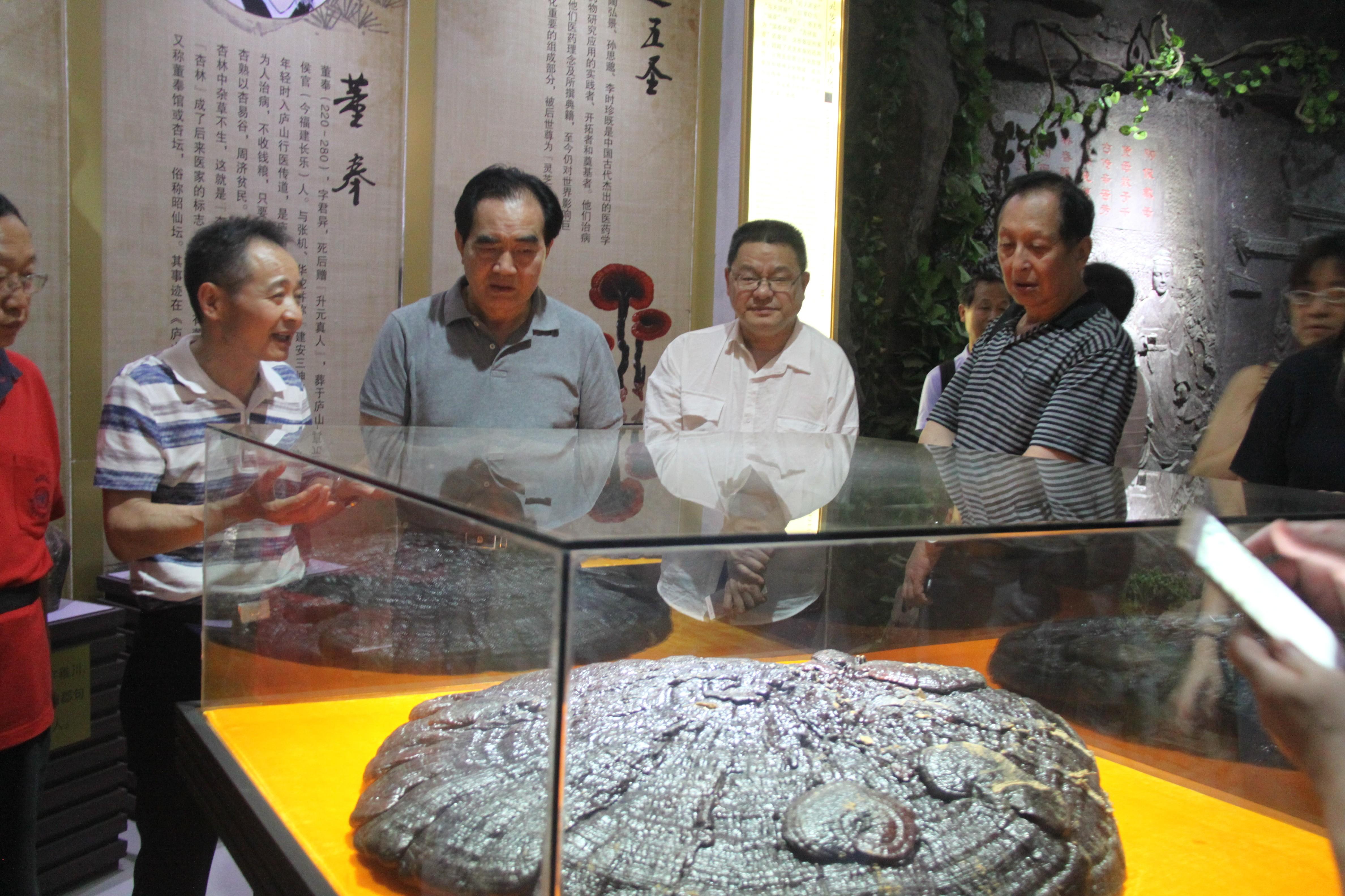 中國靈芝十大品牌|仙客來靈芝|仙客來靈芝破壁孢子粉|仙客來孢子油|仙客來靈芝飲片|仙客來破壁孢子粉|仙客來靈芝中藥飲片|馳名商標|m.aimlin.com| 中國靈芝十大品牌|仙客來靈芝|仙客來靈芝破壁孢子粉|仙客來孢子油|仙客來靈芝飲片|仙客來破壁孢子粉|仙客來靈芝中藥飲片|馳名商標|m.aimlin.com|