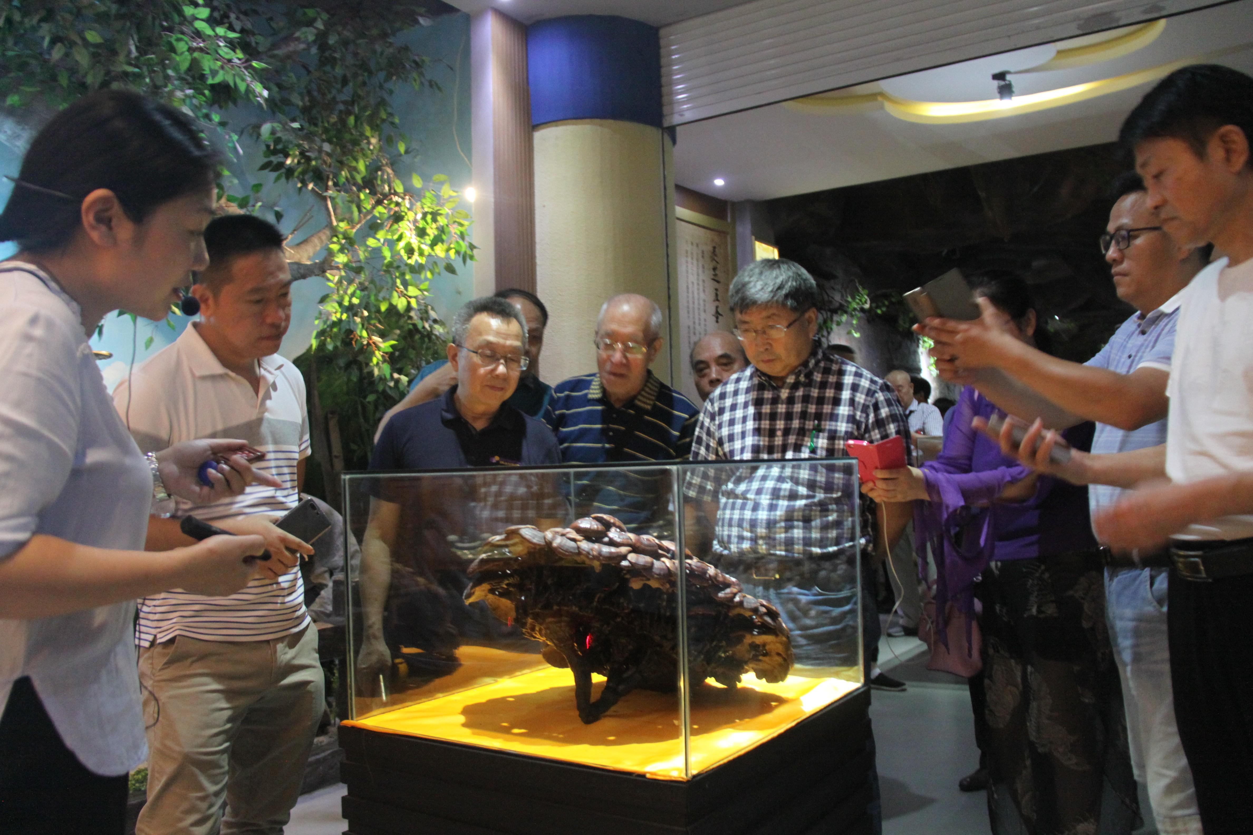 中國靈芝十大品牌|仙客來靈芝|仙客來靈芝破壁孢子粉|仙客來孢子油|仙客來靈芝飲片|仙客來破壁孢子粉|仙客來靈芝中藥飲片|馳名商標|m.aimlin.com| 中國靈芝十大品牌|仙客來靈芝|仙客來靈芝破壁孢子粉|仙客來孢子油|仙客來靈芝飲片|仙客來破壁孢子粉|仙客來靈芝中藥飲片|馳名商標|m.aimlin.com|