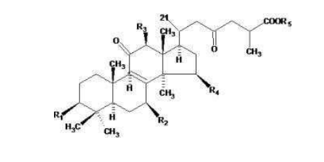 中國(guó)靈芝十大品牌|仙客來(lái)靈芝|仙客來(lái)靈芝破壁孢子粉|仙客來(lái)孢子油|仙客來(lái)靈芝飲片|仙客來(lái)破壁孢子粉|仙客來(lái)靈芝中藥飲片|馳名商標(biāo)|m.aimlin.com|