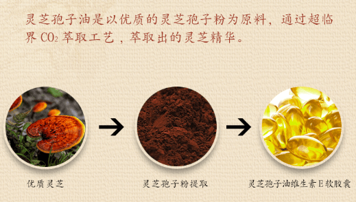 中國靈芝十大品牌|仙客來靈芝|仙客來靈芝破壁孢子粉|仙客來孢子油|仙客來靈芝飲片|仙客來破壁孢子粉|仙客來靈芝中藥飲片|馳名商標|m.aimlin.com| 中國靈芝十大品牌|仙客來靈芝|仙客來靈芝破壁孢子粉|仙客來孢子油|仙客來靈芝飲片|仙客來破壁孢子粉|仙客來靈芝中藥飲片|馳名商標|m.aimlin.com|