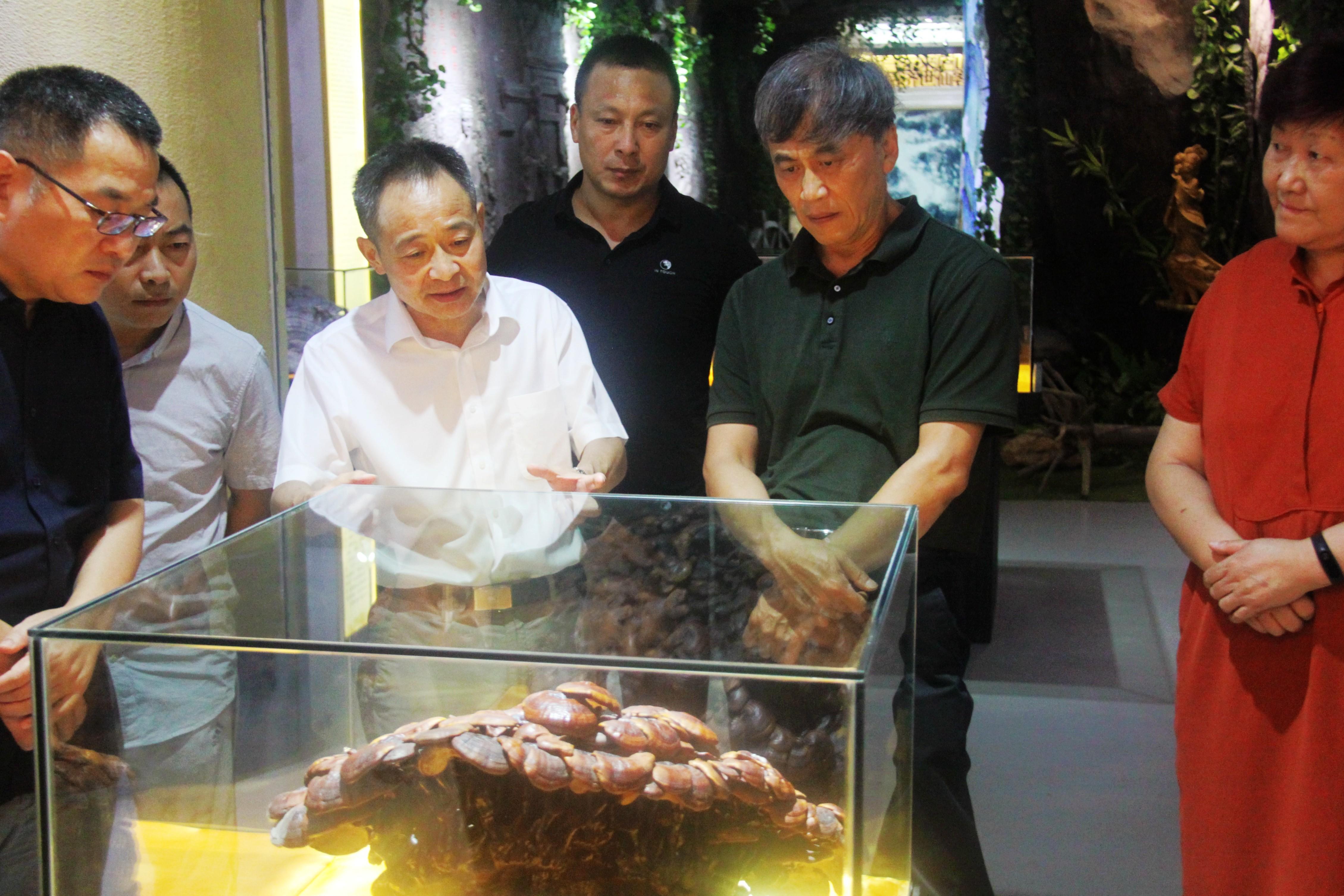 中國(guó)靈芝十大品牌|仙客來(lái)靈芝|仙客來(lái)靈芝破壁孢子粉|仙客來(lái)孢子油|仙客來(lái)靈芝飲片|仙客來(lái)破壁孢子粉|仙客來(lái)靈芝中藥飲片|馳名商標(biāo)|m.aimlin.com| 中國(guó)靈芝十大品牌|仙客來(lái)靈芝|仙客來(lái)靈芝破壁孢子粉|仙客來(lái)孢子油|仙客來(lái)靈芝飲片|仙客來(lái)破壁孢子粉|仙客來(lái)靈芝中藥飲片|馳名商標(biāo)|m.aimlin.com|