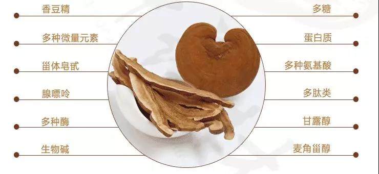 中國靈芝十大品牌|仙客來靈芝|仙客來靈芝破壁孢子粉|仙客來孢子油|仙客來靈芝飲片|仙客來破壁孢子粉|仙客來靈芝中藥飲片|馳名商標(biāo)|m.aimlin.com|