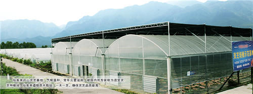 中國靈芝十大品牌|仙客來靈芝|仙客來靈芝破壁孢子粉|仙客來孢子油|仙客來靈芝飲片|仙客來破壁孢子粉|仙客來靈芝中藥飲片|馳名商標(biāo)|m.aimlin.com| 中國靈芝十大品牌|仙客來靈芝|仙客來靈芝破壁孢子粉|仙客來孢子油|仙客來靈芝飲片|仙客來破壁孢子粉|仙客來靈芝中藥飲片|馳名商標(biāo)|m.aimlin.com|