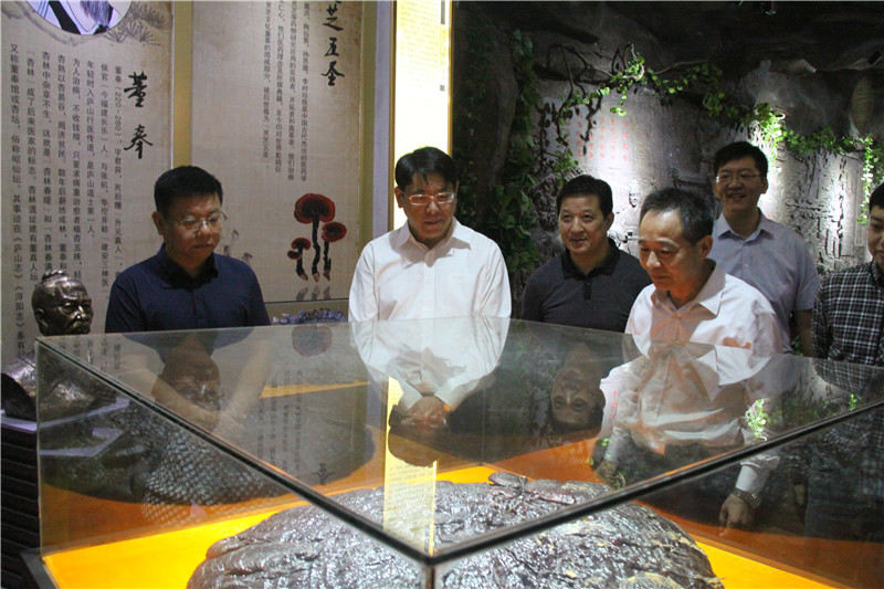 中國靈芝十大品牌|仙客來靈芝|仙客來靈芝破壁孢子粉|仙客來孢子油|仙客來靈芝飲片|仙客來破壁孢子粉|仙客來靈芝中藥飲片|馳名商標|m.aimlin.com| 中國靈芝十大品牌|仙客來靈芝|仙客來靈芝破壁孢子粉|仙客來孢子油|仙客來靈芝飲片|仙客來破壁孢子粉|仙客來靈芝中藥飲片|馳名商標|m.aimlin.com|