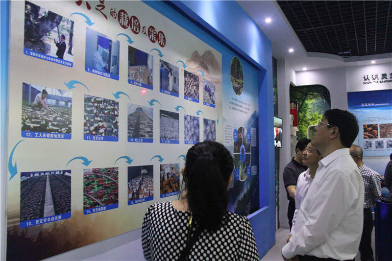 中國靈芝十大品牌|仙客來靈芝|仙客來靈芝破壁孢子粉|仙客來孢子油|仙客來靈芝飲片|仙客來破壁孢子粉|仙客來靈芝中藥飲片|馳名商標|m.aimlin.com| 中國靈芝十大品牌|仙客來靈芝|仙客來靈芝破壁孢子粉|仙客來孢子油|仙客來靈芝飲片|仙客來破壁孢子粉|仙客來靈芝中藥飲片|馳名商標|m.aimlin.com|