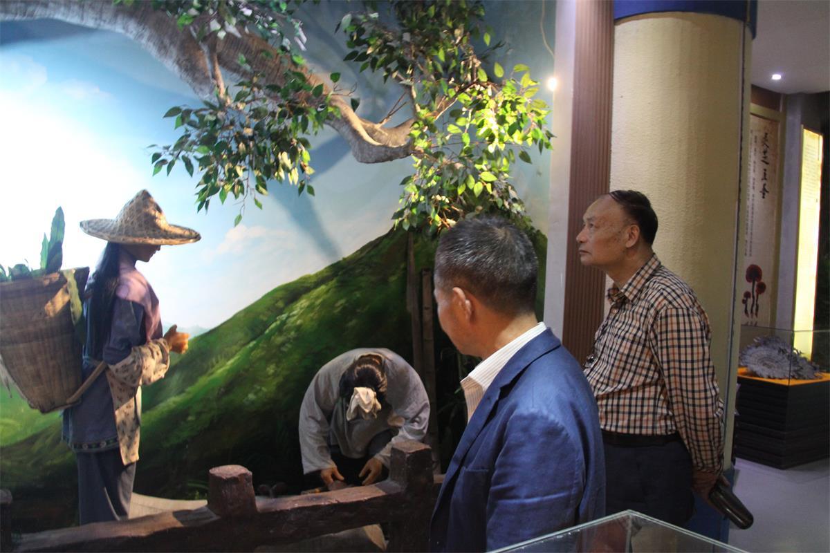 中國靈芝十大品牌|仙客來靈芝|仙客來靈芝破壁孢子粉|仙客來孢子油|仙客來靈芝飲片|仙客來破壁孢子粉|仙客來靈芝中藥飲片|馳名商標(biāo)|m.aimlin.com| 中國靈芝十大品牌|仙客來靈芝|仙客來靈芝破壁孢子粉|仙客來孢子油|仙客來靈芝飲片|仙客來破壁孢子粉|仙客來靈芝中藥飲片|馳名商標(biāo)|m.aimlin.com|